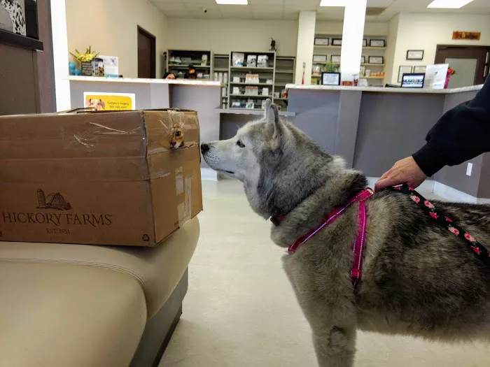 Park Animal Hospital Picture 3