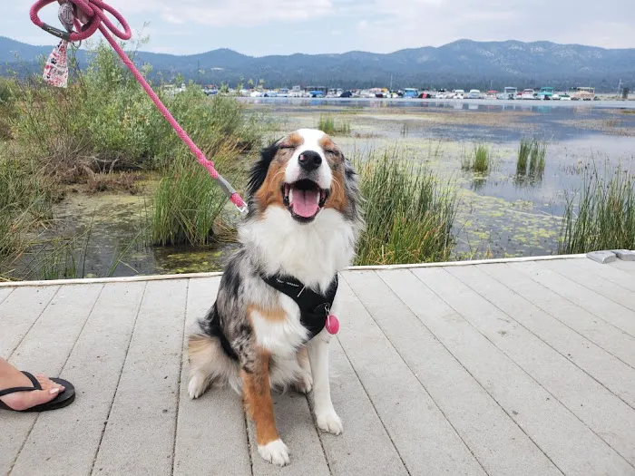 Park Animal Hospital Picture 10