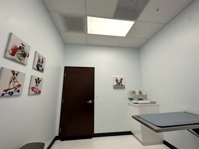 Simi Valley Animal Urgent Care Picture 1