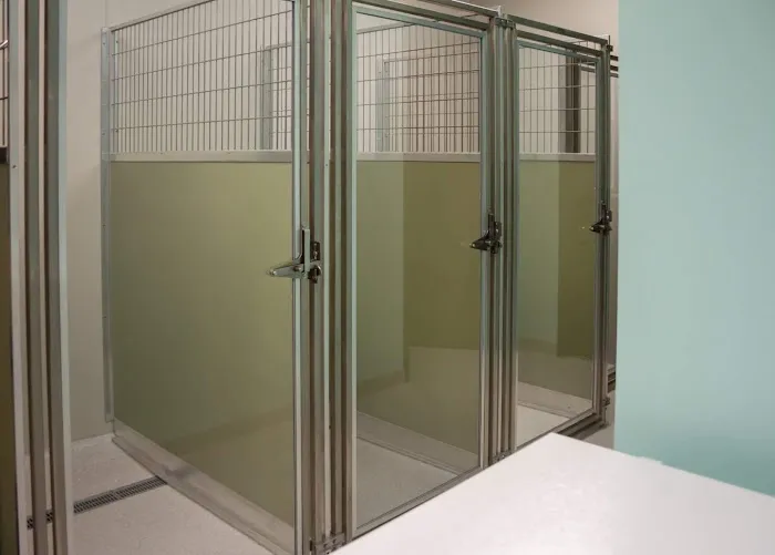 Murrieta Family Pet Hospital Picture 2