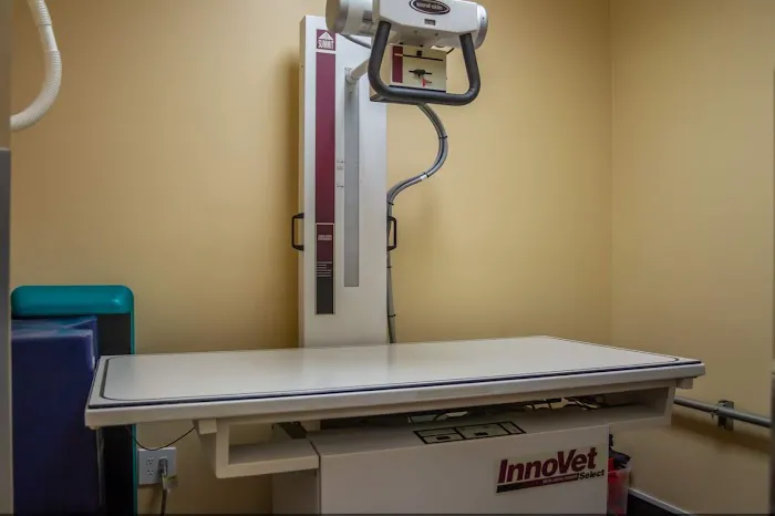 Murrieta Family Pet Hospital Picture 6