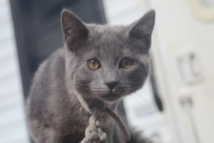 Ark Animal Hospital Picture 4