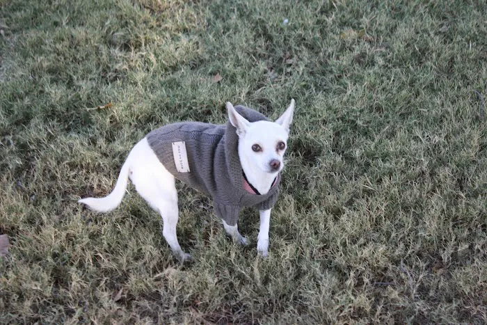 Ark Animal Hospital Picture 7