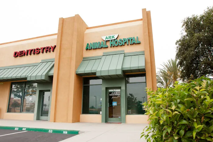 Ark Animal Hospital Picture 6