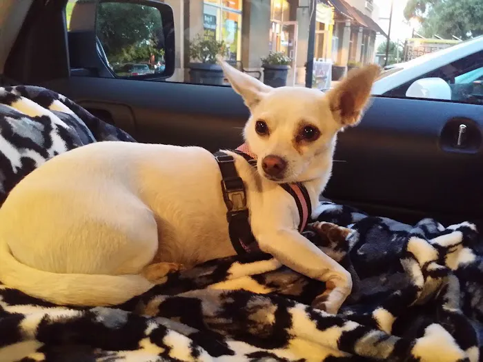 Ark Animal Hospital Picture 9