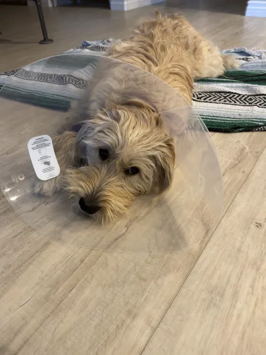 Hot Springs Animal Hospital Picture 4