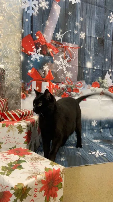 Hot Springs Animal Hospital Picture 2