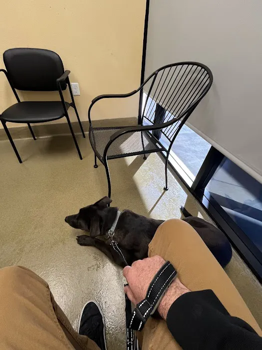 Hot Springs Animal Hospital Picture 7