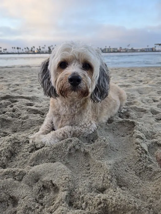 Hot Springs Animal Hospital Picture 9