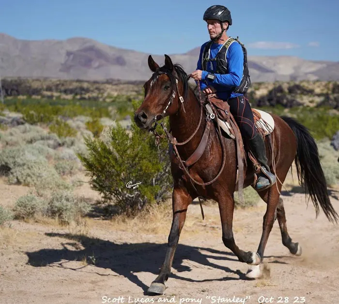 Murrieta Equine Associates Picture 1