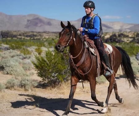 Murrieta Equine Associates