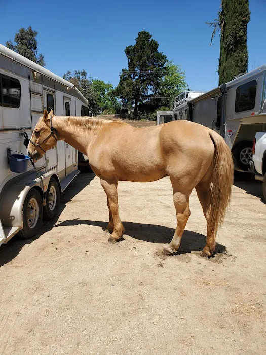 Murrieta Equine Associates Picture 3