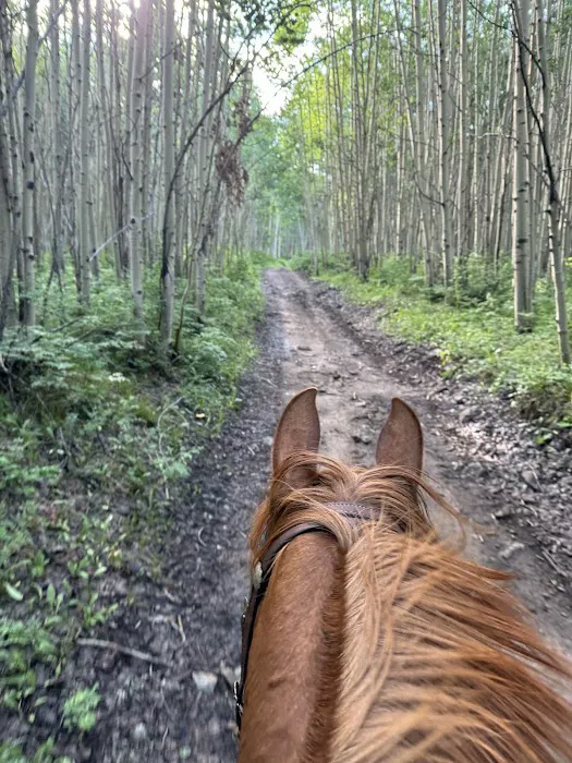 Murrieta Equine Associates Picture 4