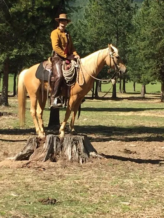 Murrieta Equine Associates Picture 5