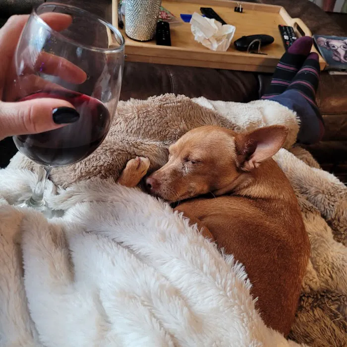 Banfield Pet Hospital Picture 2