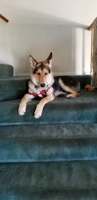 Banfield Pet Hospital Picture 5