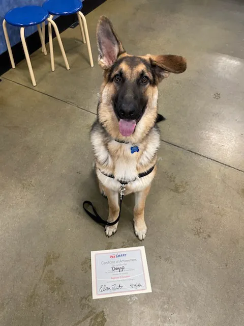 Banfield Pet Hospital Picture 4