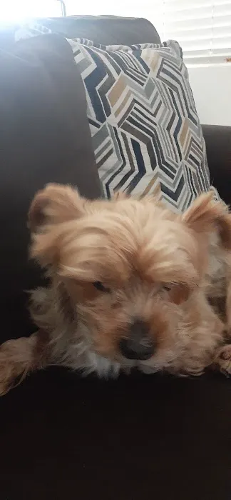 Banfield Pet Hospital Picture 8