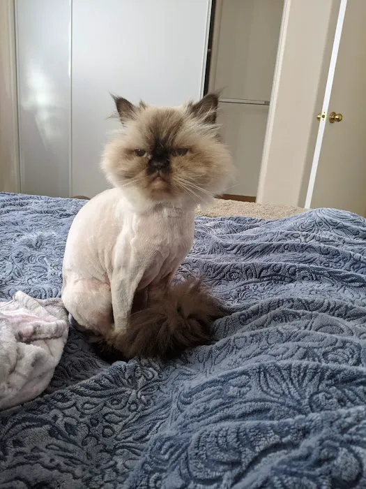 Old Town Veterinary Hospital Picture 10