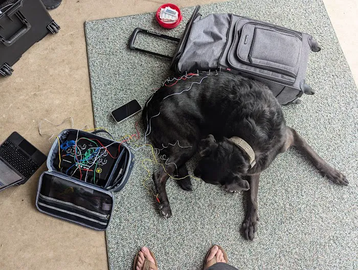 Serenity Holistic Vet Picture 1