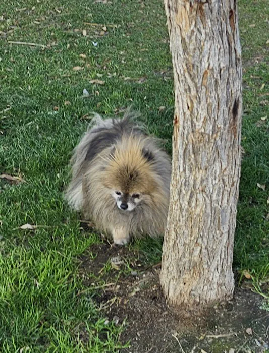 Serenity Holistic Vet Picture 3