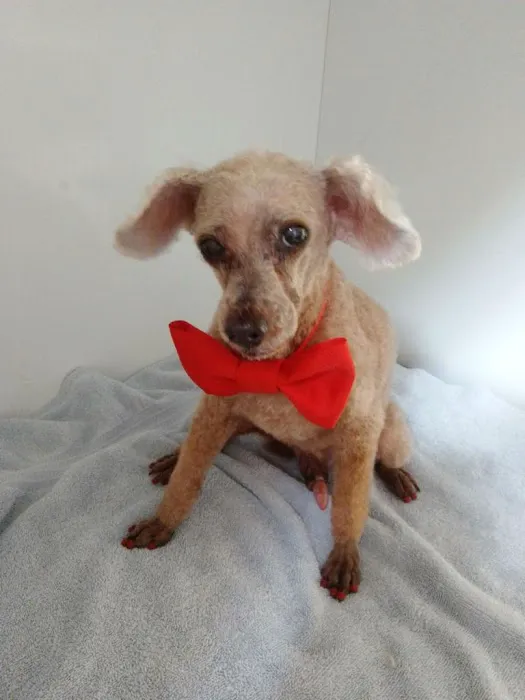 Serenity Holistic Vet Picture 7