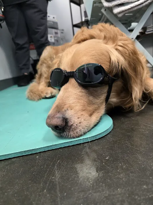 Serenity Holistic Vet Picture 5