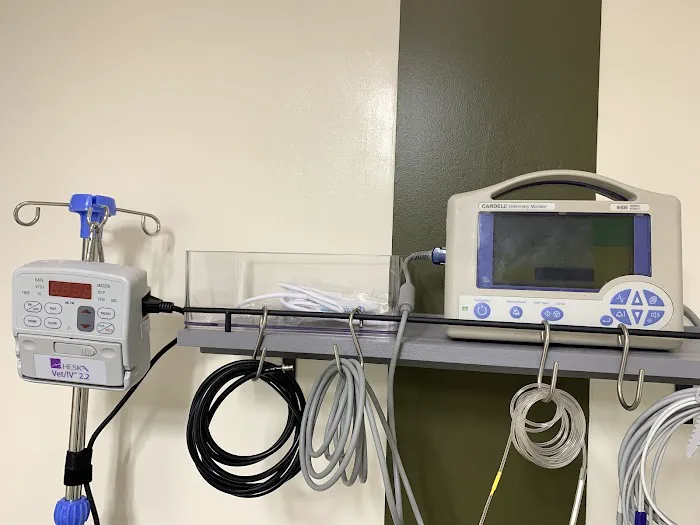 Medfurbish Picture 1