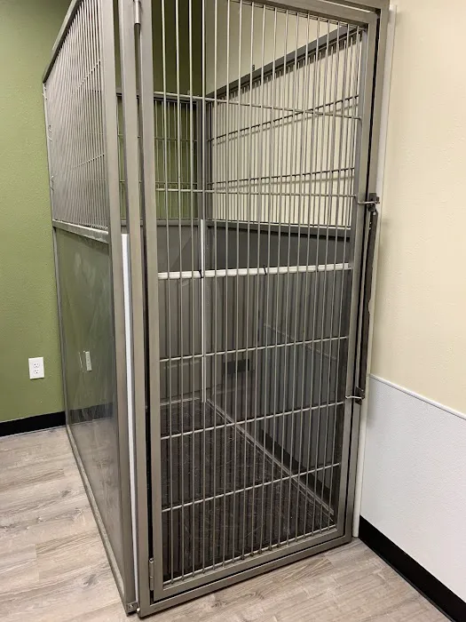 Medfurbish Picture 3