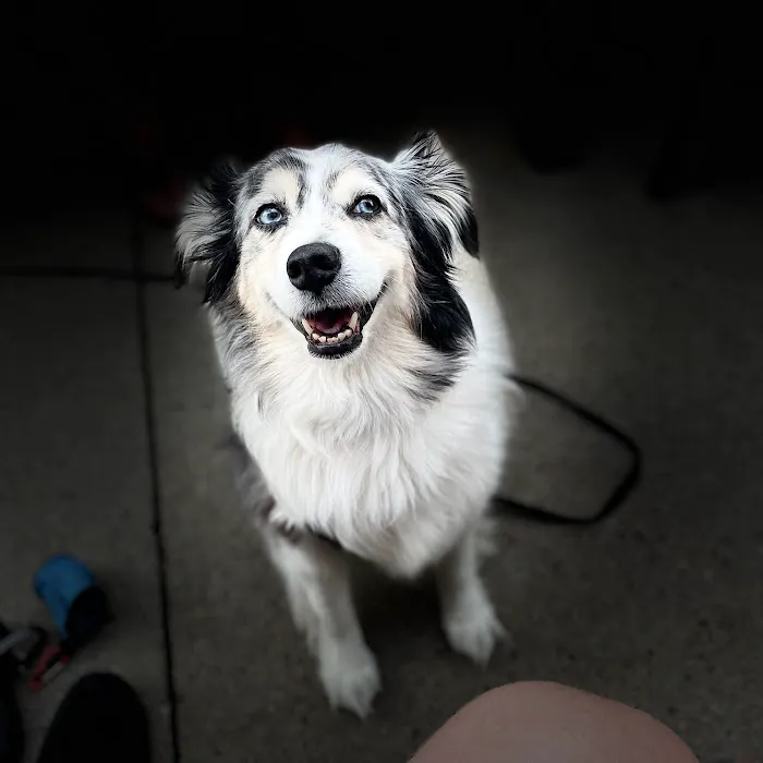 Murrieta Animal Hospital Picture 1