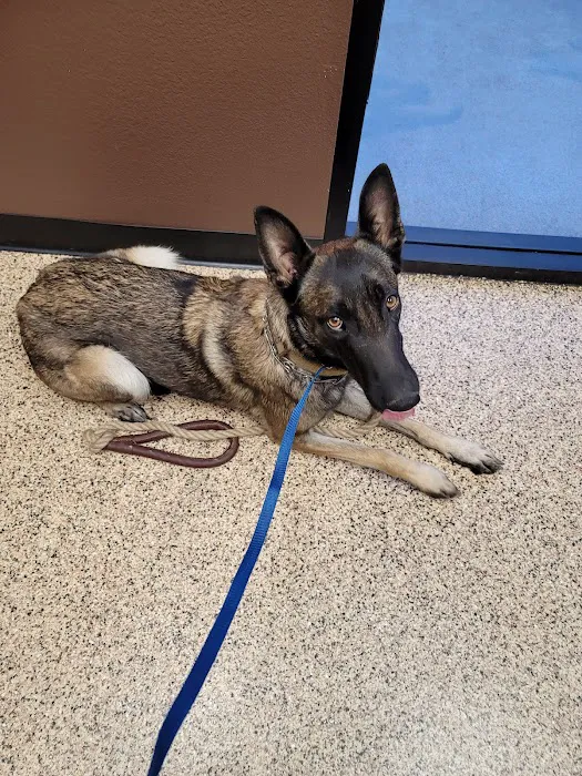 Murrieta Animal Hospital Picture 7