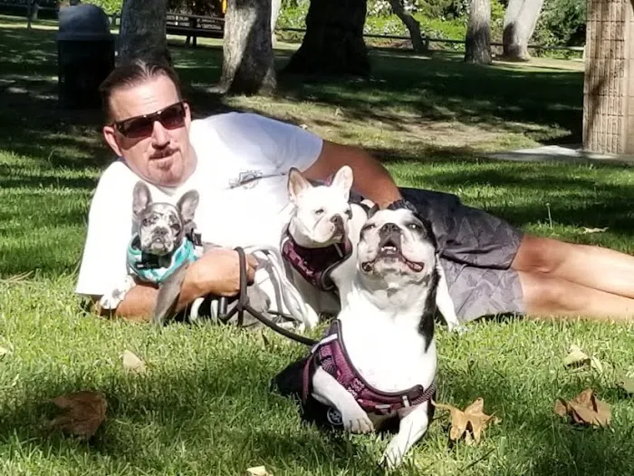 Murrieta Animal Hospital Picture 6