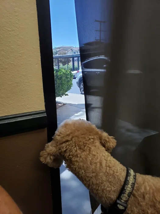 Murrieta Animal Hospital Picture 4