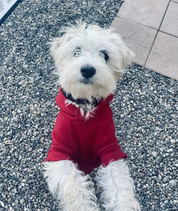 Murrieta Animal Hospital Picture 9