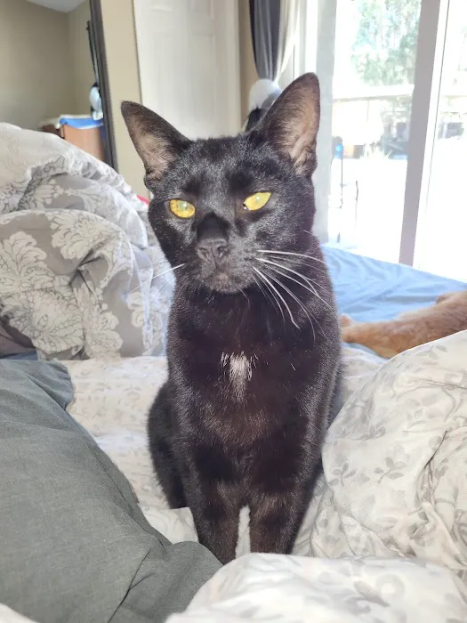 Sycamore Creek Animal Hospital Picture 8