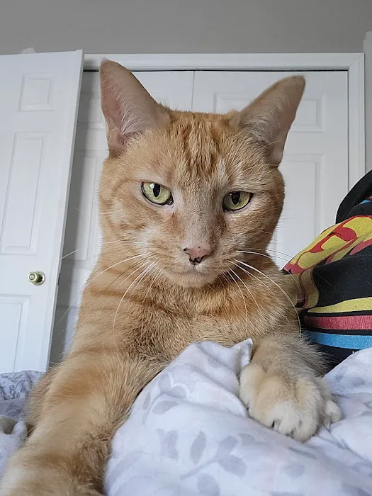 Sycamore Creek Animal Hospital Picture 5