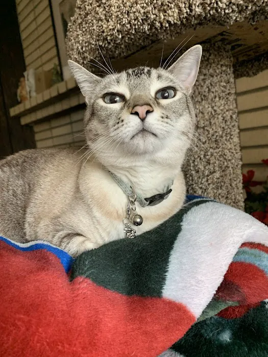 Sycamore Creek Animal Hospital Picture 6