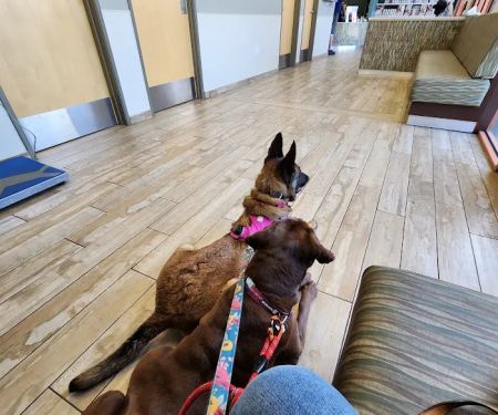 Sky Canyon Animal Hospital- Murrieta