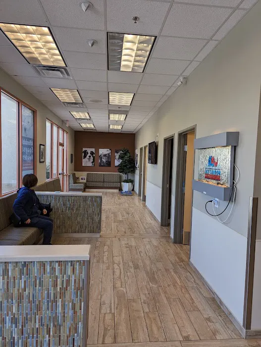 Sky Canyon Animal Hospital- Murrieta Picture 8