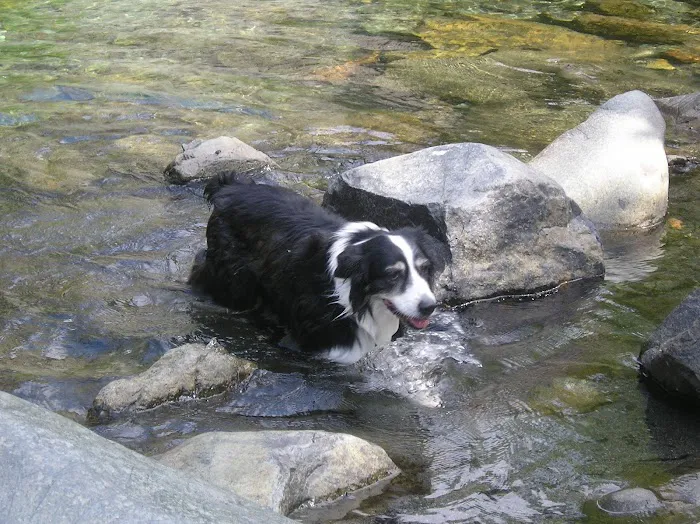 Sky Canyon Animal Hospital- Murrieta Picture 9