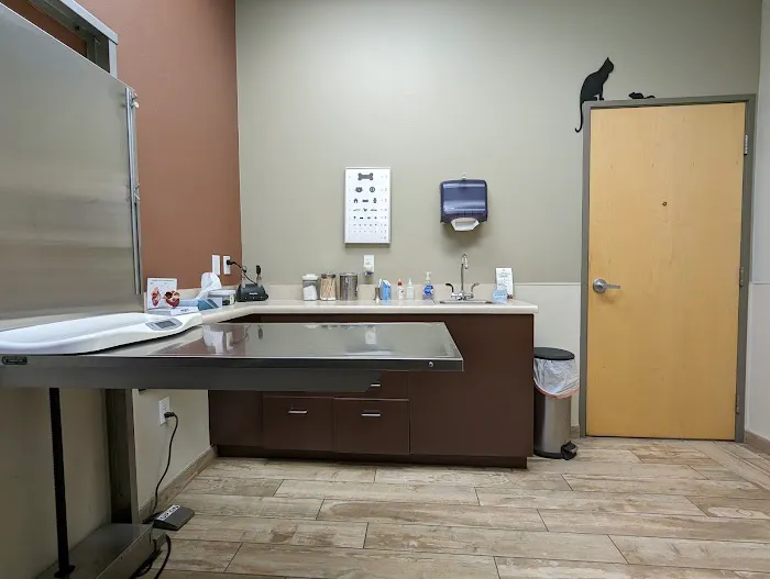 Sky Canyon Animal Hospital- Murrieta Picture 7