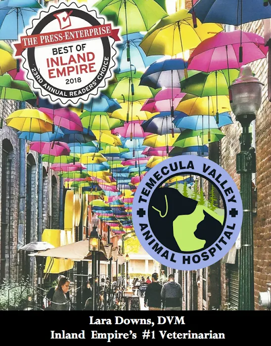 Temecula Valley Animal Hospital Picture 5