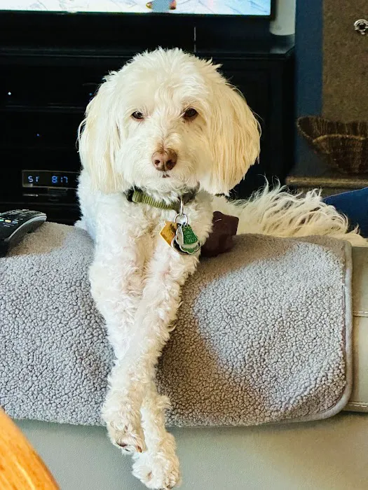 Temecula Valley Animal Hospital Picture 2