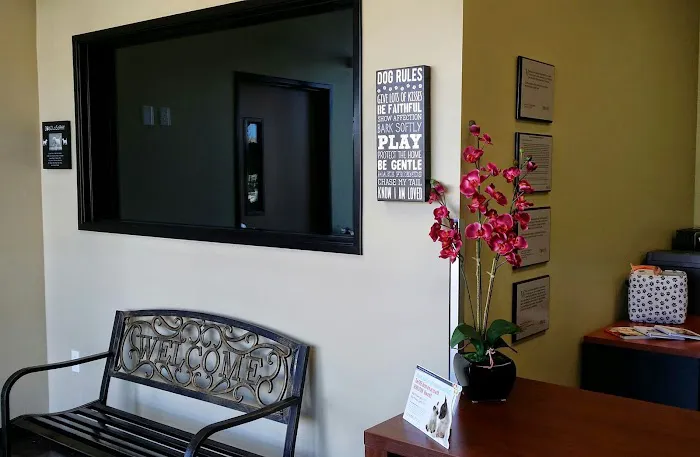 Temecula Valley Animal Hospital Picture 4