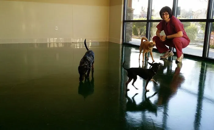 Temecula Valley Animal Hospital Picture 10