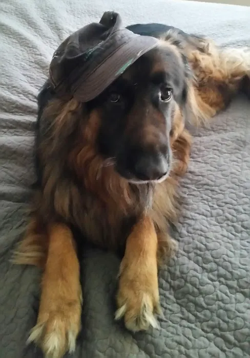 Vetco Total Care Animal Hospital Picture 1