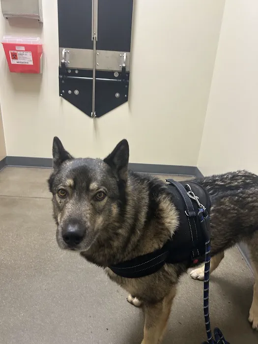 Vetco Total Care Animal Hospital Picture 8