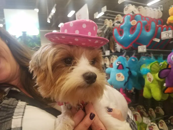 Vetco Total Care Animal Hospital Picture 7