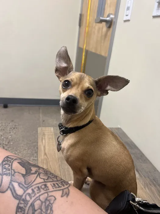 Vetco Total Care Animal Hospital Picture 6