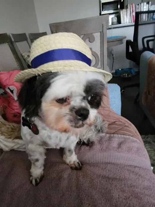 Vetco Total Care Animal Hospital Picture 5